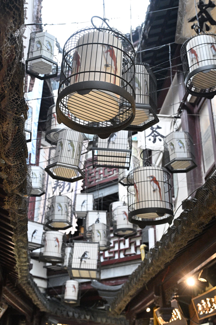 Hanging birdcage lanterns above an old market street