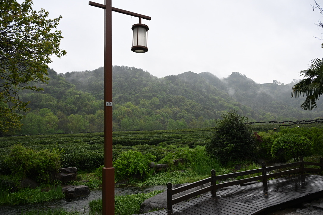 Lantern lamppost over a misty tea plantation landscape
